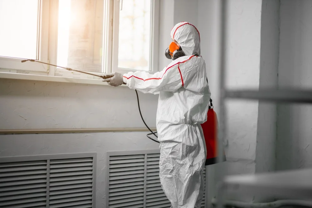 Professional mold remediation services in High Bridge, NJ